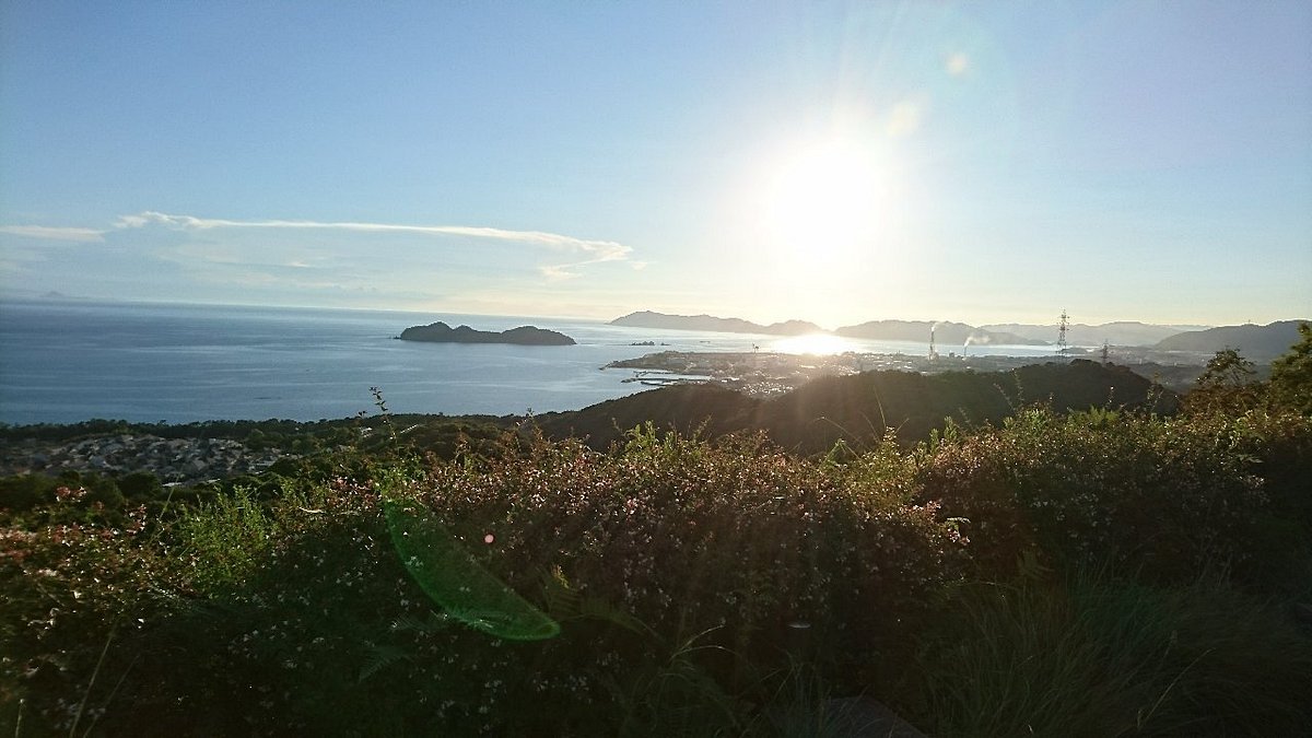 🌳 빛 스포츠 공원 (히카리 스포츠 코엔) 이미지 7